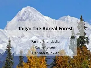 Taiga: The Boreal Forest