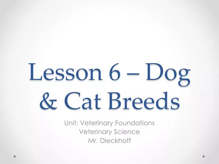 lesson 6 dog cat breeds