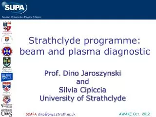 Strathclyde programme: beam and plasma diagnostic