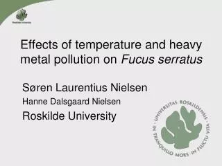 Effects of temperature and heavy metal pollution on Fucus serratus