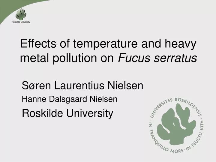 effects of temperature and heavy metal pollution on fucus serratus