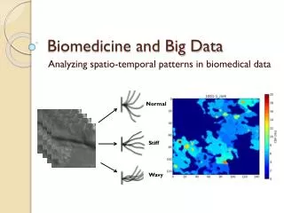 Biomedicine and Big Data