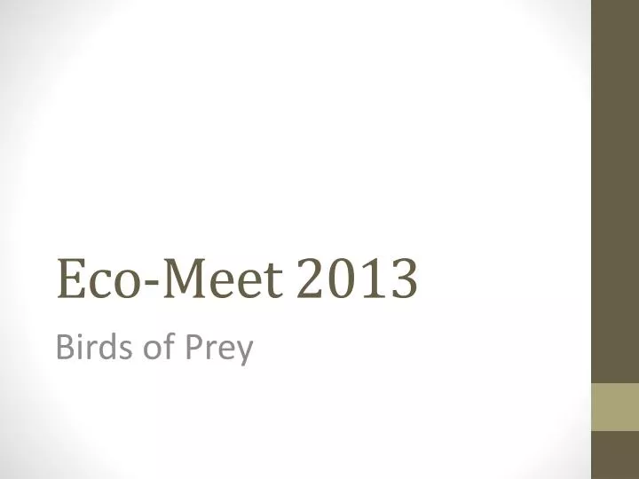 eco meet 2013