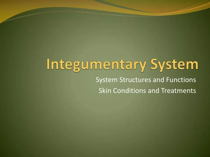 integumentary system