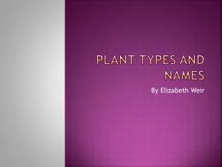 Plant Types and names