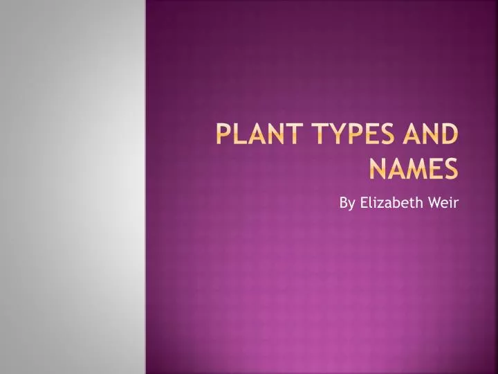 plant types and names