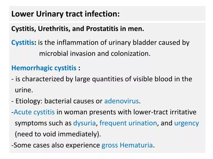 lower urinary tract infection