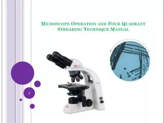 Microscope Operation and Four Quadrant Streaking Technique Manual