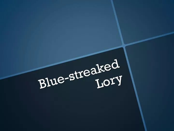 blue streaked lory