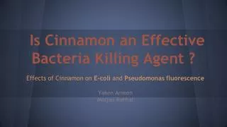 Is Cinnamon an Effective Bacteria Killing Agent ?