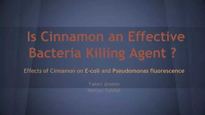 is cinnamon an effective bacteria killing agent