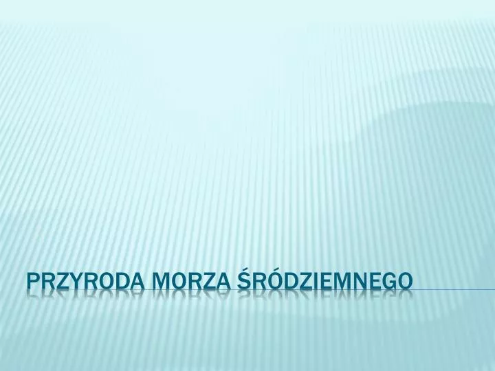 przyroda morza r dziemnego