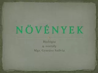 n v n y e k