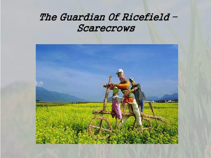 t he guardian of ricefield scarecrows