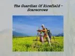T he Guardian Of Ricefield – Scarecrows