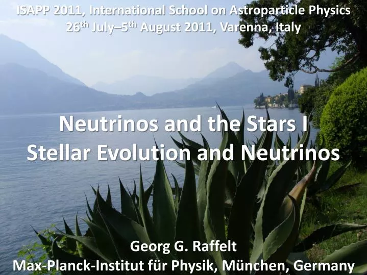 neutrinos and the stars