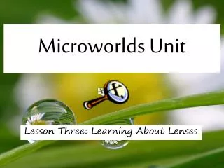 Microworlds Unit