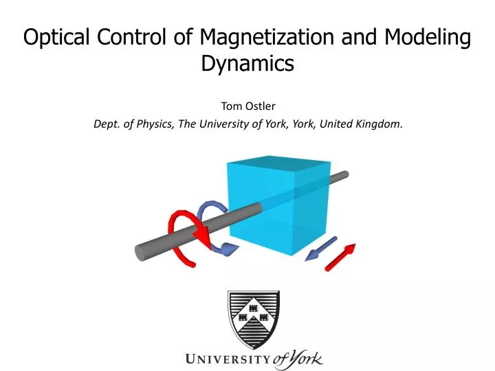 optical control of magnetization and modeling dynamics