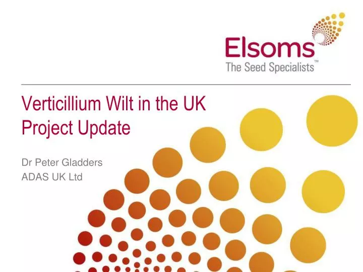 verticillium wilt in the uk project update
