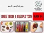 Single Media &amp; Multiple Tests - slide 1
