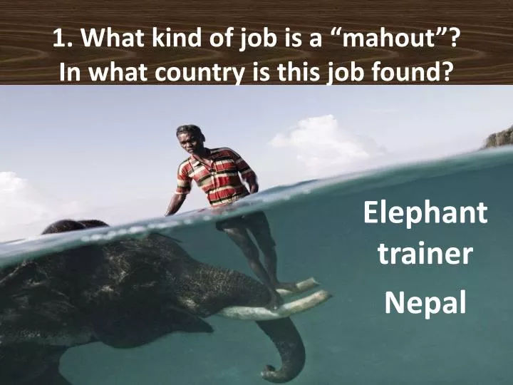 1 what kind of job is a mahout in what country is this job found