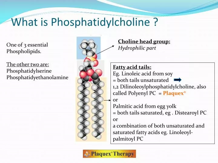 what is phosphatidylcholine