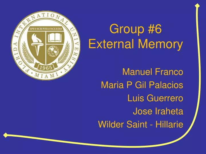 group 6 external memory