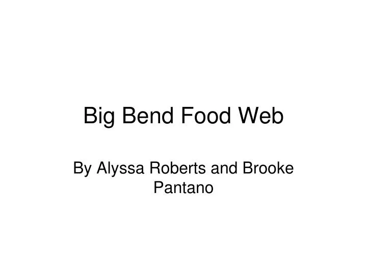 big bend food web