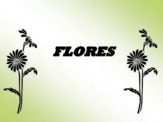 flores