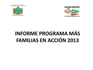 informe programa m s familias en acci n 2013