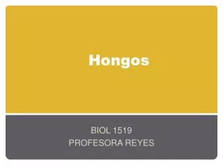 hongos