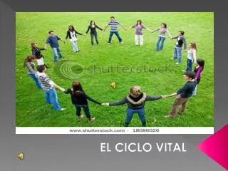 el ciclo vital