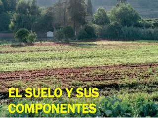 el suelo y sus componentes
