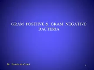 GRAM POSITIVE &amp; GRAM NEGATIVE BACTERIA