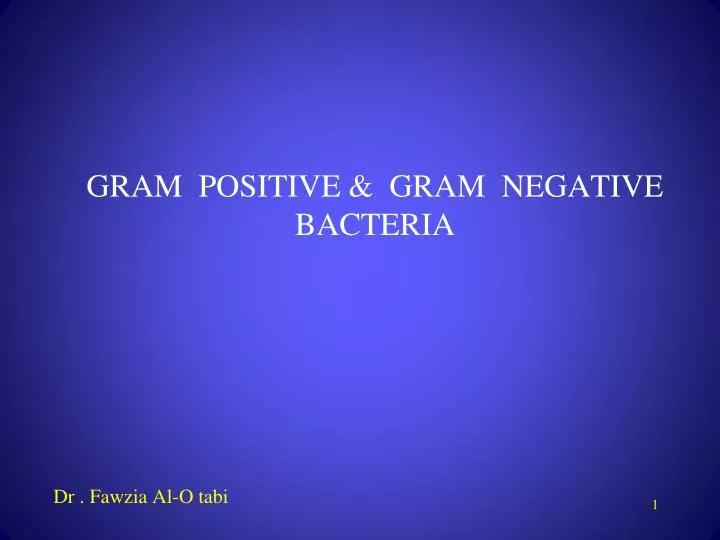 gram positive gram negative bacteria