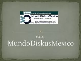 mundodiskusmexico
