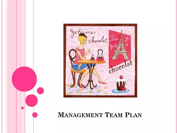 management team plan