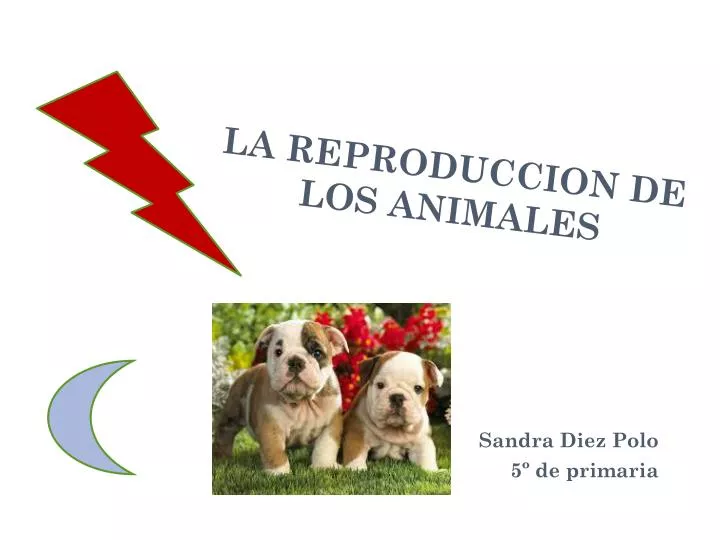 la reproduccion de los animales