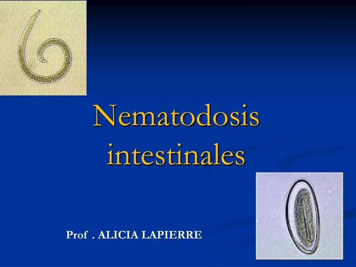 nematodosis intestinales