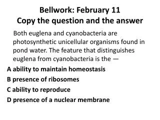 Bellwork : February 11 Copy the question and the answer