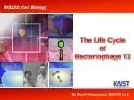 The Life Cycle of Bacteriophage T2