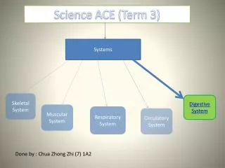 Science ACE (Term 3)