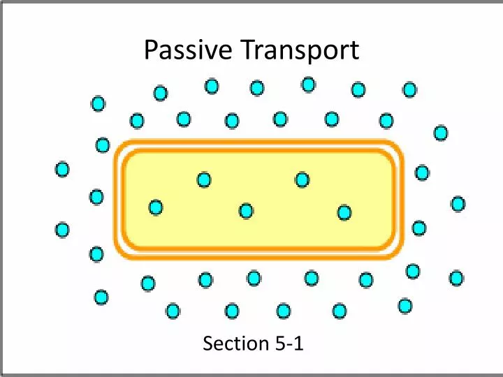passive transport