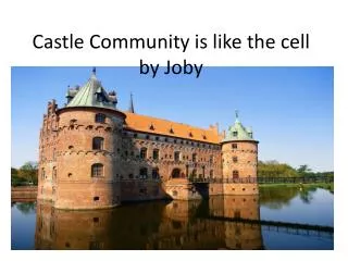 Castle Community is like the cell b y Joby