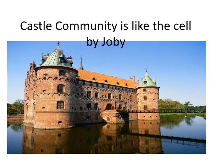 castle community is like the cell b y joby