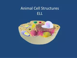 animal cell structures ell