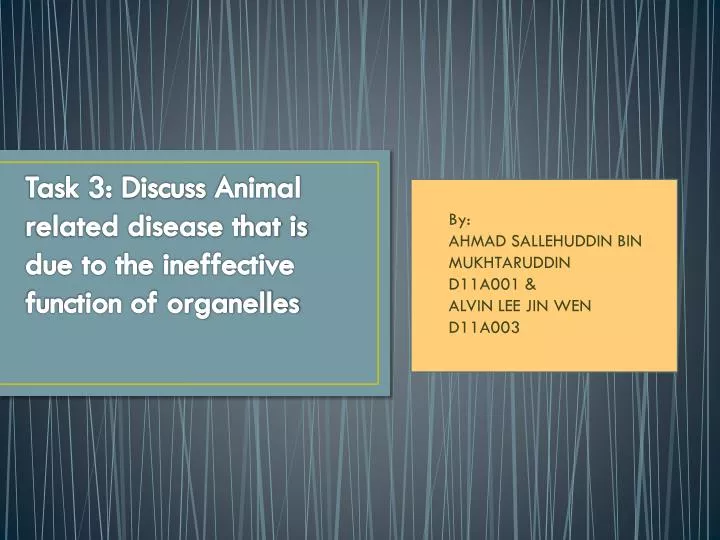 task 3 discuss animal related disease that is due to the ineffective function of organelles