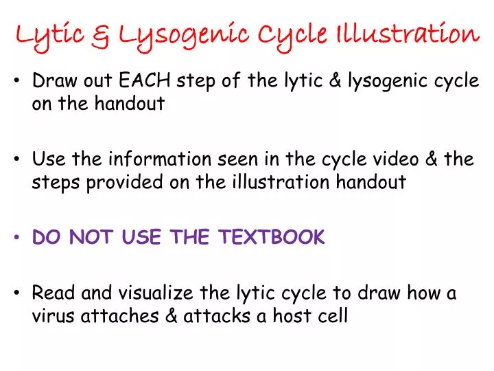 lytic lysogenic cycle illustration