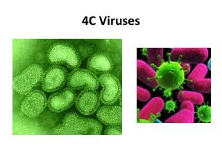 4C Viruses