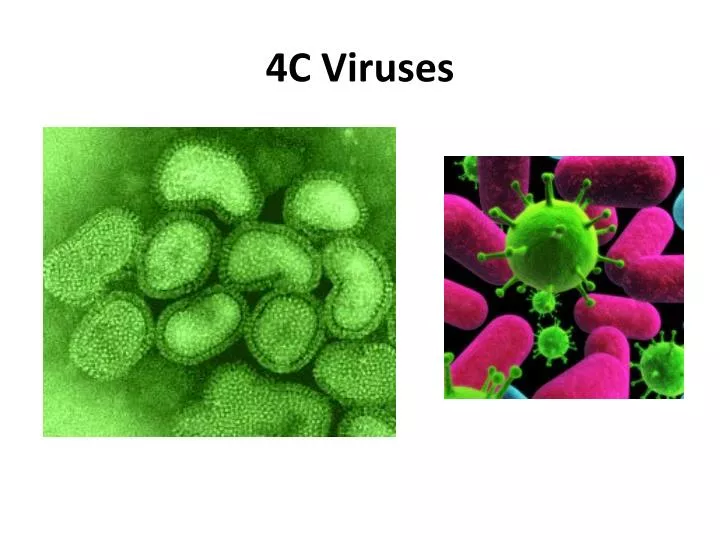 4c viruses